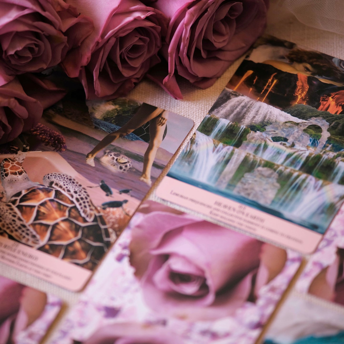 Divine Codes Oracle Deck